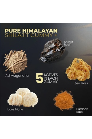 Shilajit Sourced Sea Moss + Lion's Mane Watermelon 60 Gummies