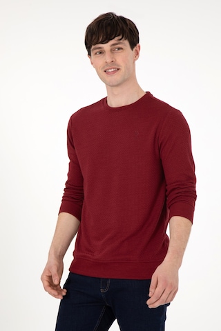 U.S. Polo Assn. Erkek Regular Fit Bisiklet Yaka Bordo Sweatshirt 50290063-VR014