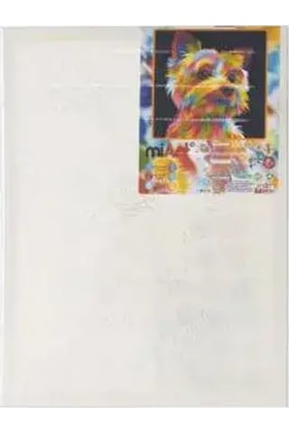 Miart Sayılarla Boyama Seti Sevimli Dost 30x40 Cm
