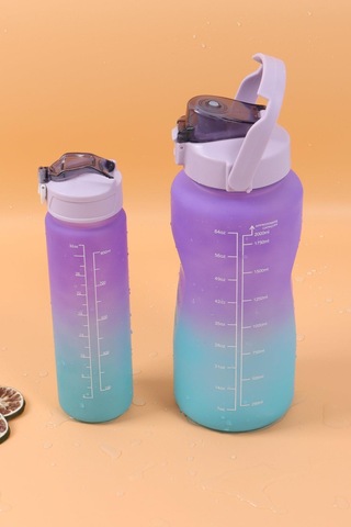 Pikas Motivasyonel 2li Su Matarası Su Şişesi Suluk 2 Lt 900ml Yavrulu Spor Salonu Su Şişesi Sticker Hediye Çok Renkli