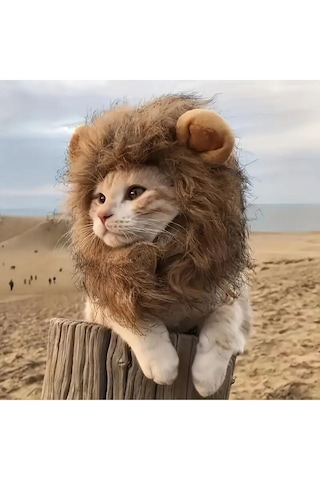 Traje Den Kedi Kostümü Aslan Yelesi