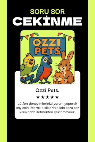 Muhabbet Kuşu Zilli Oyun Topu 4 Adet