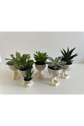 Insansı Saksı 4'lü Set - Beyaz - Çiçeksiz - 7cm