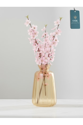 Chacha Home Modern 3'lü Minimalist Cam Çiçek Vazosu Dekoratif Masa Üstü Vazo Seti Bal