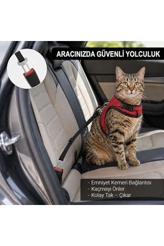 Kaçış Önleyici Kedi Gezdirme Tasması Ve Küçük Irk Köpek Gezdirme Tasması Kedi Göğüs Tasması Seti Large Çok Renkli