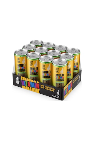 Hotline Multivitaminli İçecek 250 ml 12'li