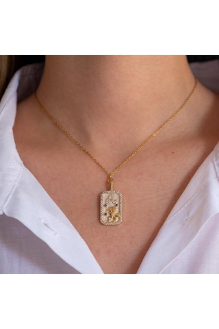 Çelik Kolye, Altın Kaplama Aslan Burcu Kadın Kolye K-116 Altın