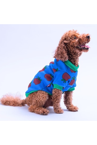 Apple Kaşkorse Elma Desenli Sweat Kedi Köpek Sweat Kedi Köpek Kıyafeti