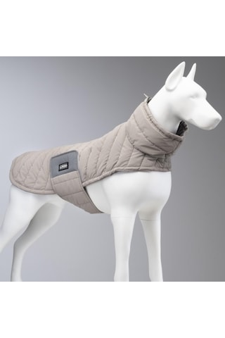 Air Puff Stone Köpek Montu