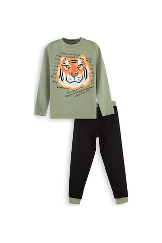 Denokids Kaplan Erkek Çocuk T-shirt Pantolon Takım Renkli