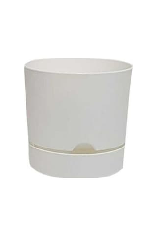 Polıwork Saksı Begonya 18 Cm Beyaz