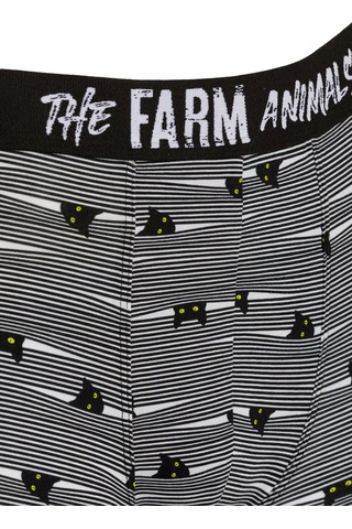 Farm Animals Yellow Eyed Hide N Cat Desenli Boxer gri