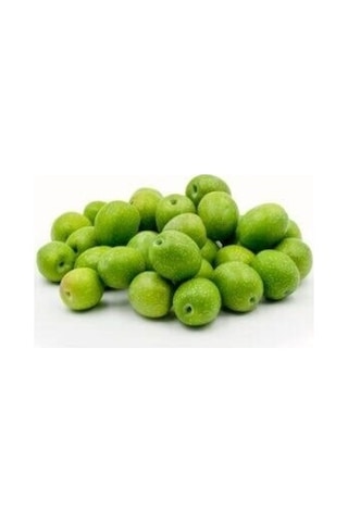 Zeytin Fidanı Gemlik Sofralık ve Yağlık