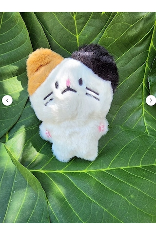 Pepikon Enhypen Skzoo Kpop Peluş Oyuncak Anahtarlık 10 Cm Çanta Süsü Aksesuar Beyaz - Krem