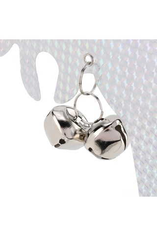 Ximistore9 2 Adet Pvc Gökkuşağı Yansıtıcı Kuş Kovucu: Işık, Ses Ve Hareketle Bahçe, Balkon Ve Evinizde Kuşlardan Koruma