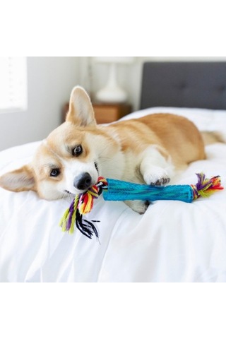 Orka Stick Alternatif İpli Köpek Çiğneme Oyuncağı - Parçalanmaya Dayanıklı Ve Güvenli