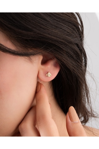 Roza Silver 925 Ayar Gold Zirkon Taşlı Minimal Taç Çivili Gümüş Küpe Re10218