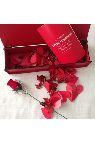 Dikdo Rtgen Figürlü Ahs Ap Hediye Kutusu