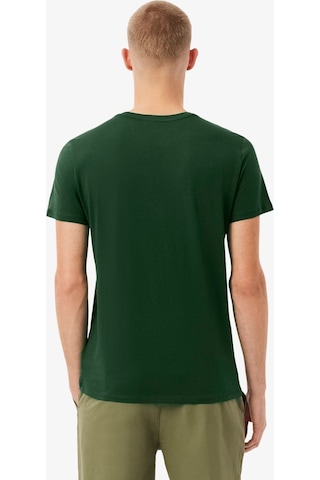 Lacoste Erkek Regular Fit Bisiklet Yaka T-shirt Yeşil