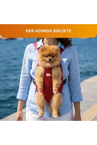 Kedi Ve Küçük Irk Köpek Taşıma Çantası 1,5-3 Kg Evcil Hayvanlar İçin Askılı Taşıyıcı Çanta Konforlu