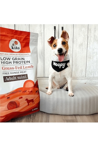 Kito Doğal Besi Kuzu Etli Yetişkin Mini Irk Köpek Maması 2.5 KG