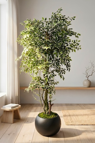 Yapay Benjamin Starlight Ağacı 180 Cm - Küre Saksılı Beyaz