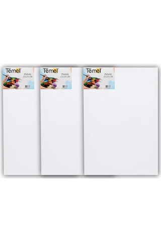 Temel 25x35 Cm 3 Lü Tuval