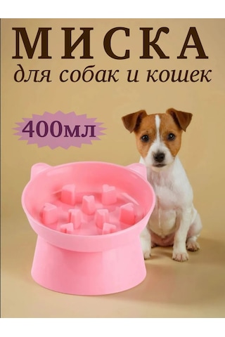 Vektorı Kedi Kabı 391740899