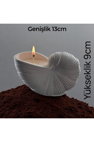 Dekoratif Vanilya Kokulu Deniz Kabugu Mum Çok Renkli