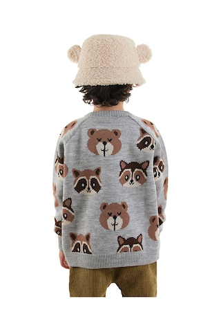 Denokids Ayı Rakun Erkek Çocuk Gri Triko Kazak Renkli