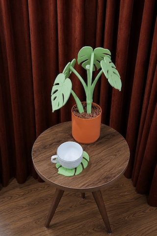 Monstera Coasters Bardak Altlıkları Yeşil