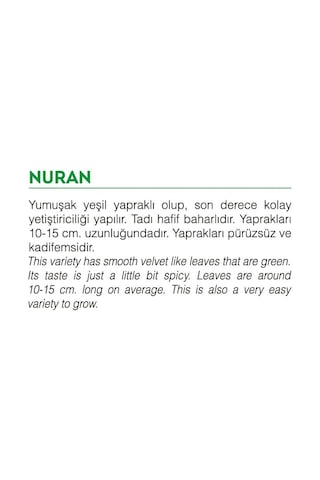 AGRodal Tarım Ata Tohumu Yerli Doğal Roka Nuran 2000 Adet Tohum
