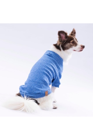 Pawstar Mavi Merino Esnek, Küçük Irk Triko Köpek Kazağı