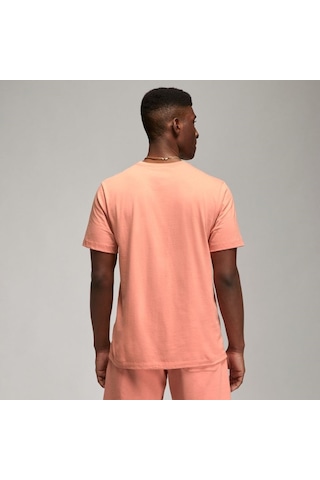 Nike Jordan Air Wordmark Erkek T-Shirt