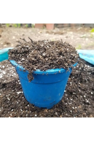 Bluberry Yaban Mersini Toprağı 30 Litre