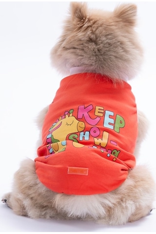 Turuncu Keep Show-ıng Up Tişört Kedi Köpek Tişörtü-kedi Köpek Kıyafeti L
