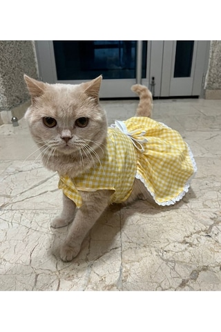 Sarı Beyaz Kareli Fiyonklu Kedi Köpek Kıyafeti Elbisesi Medium/m