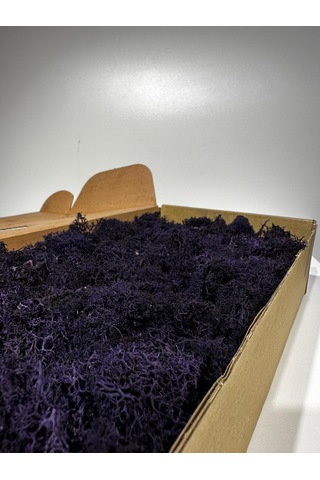 Reindermoss Şoklanmış Norveç Yosunu Terarium Yosunu Mor 500 Gr.
