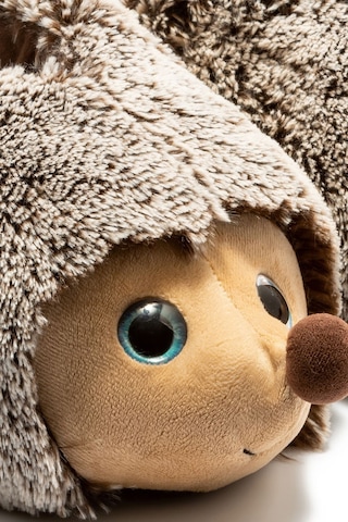 Twigy Kirpi 23 Kadın Hayvanlı Panduf Kahve 36/41 CC0650