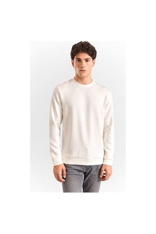 Süvari Beyaz Regular Dikey Çizgili Baskısız Jakarlı Bisiklet Yaka Cepsiz Sweatshirt Ssw2013700013-bey