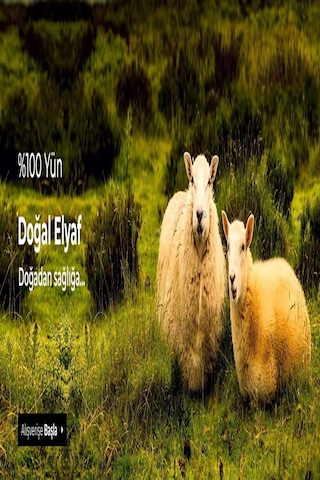 Siyah Doğal Termal Yün Erkek Fanila 001