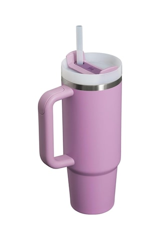 Stanley The Quencher H2.o Flowstate 0.89l Termos 10-10827-225 Çok Renkli