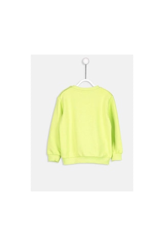 LC Waikiki Lcw Baby Yeşil Sweatshirt