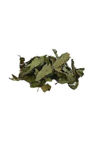 Dvd Lokman Aktar Üvez Yaprağı 20 G