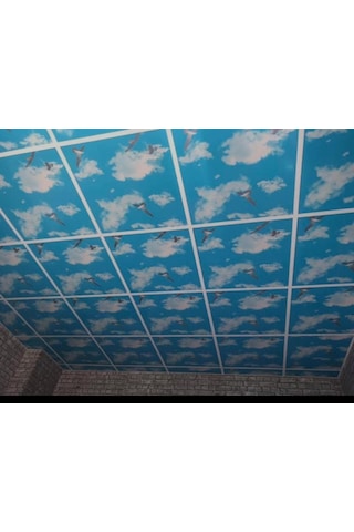 Pvc Asma Tavan 60x60 Panel 7.20 M2 20 Adet 20 Adet Pvc Asma Tavan 60x60 Panel 7.20 M2 20 Adet 20 Adet