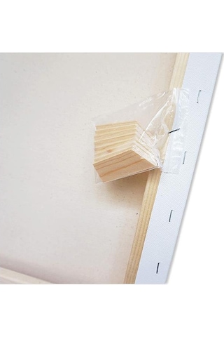 Brons Gerdirme Apartlı Arkadan Zımbalı Tuval 1 Adet 50 x 70 CM