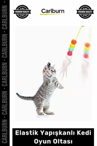 Petshop Çanlı İnteraktif Hareketli Vantuzlu Zıplayan Egzersiz Elastik Yapışkanlı Kedi Oyun Oltası