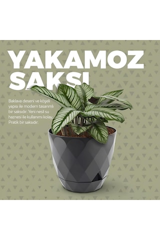 Yakamoz Saksı 1, Bej, 9.2 Litre Genel