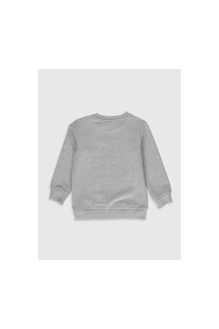 LC Waikiki Cw Baby Beyaz Bisiklet Yaka Uzun Kollu Baskılı Erkek Bebek Sweatshirt Off Whıte Melang