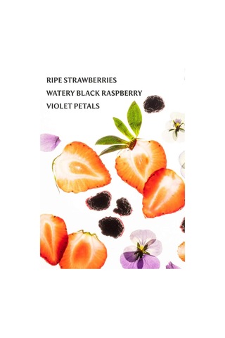 Touchland Berry Bliss Nemlendirici Ve Kokulu El Temizleme Spreyi 30ml
